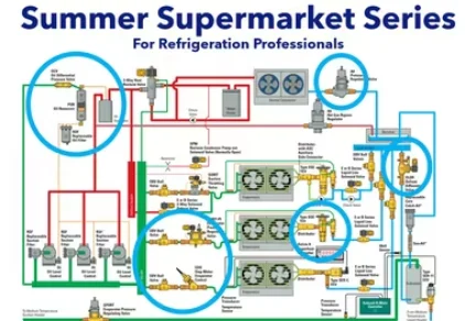 Summer Supermarket Series Training